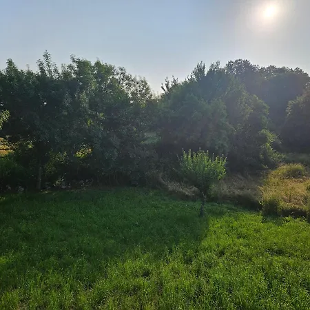 La Plane * Saint-Leon-d'Issigeac