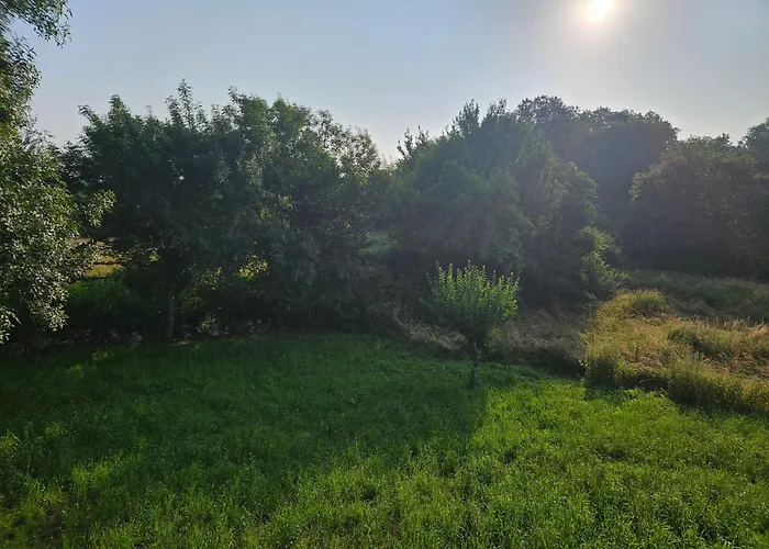 La Plane * Saint-Leon-d'Issigeac